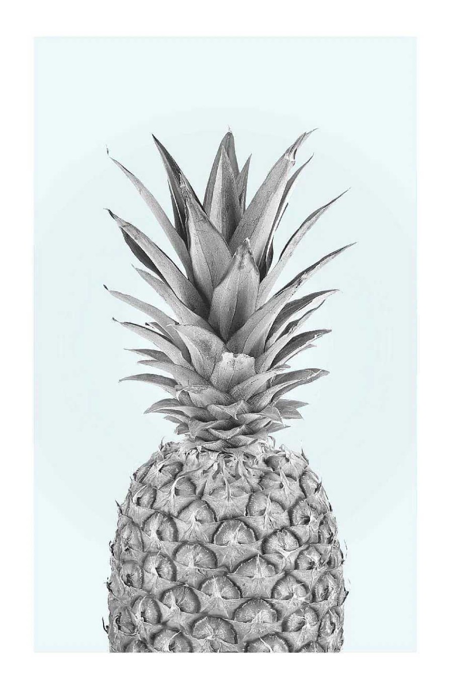 Wanddeko | Nanu-Nana Poster Pineapple, Nr. 51