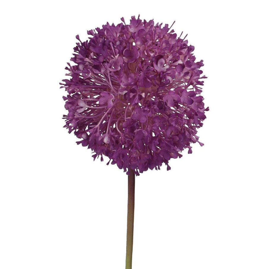 Kunstblumen | Nanu-Nana Barlauch Pompom, Lila, 66 Cm