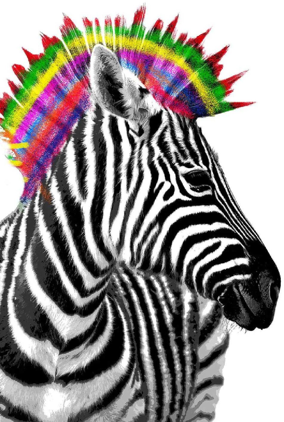 Wanddeko | Nanu-Nana Poster Zebra Punk, Nr. 238