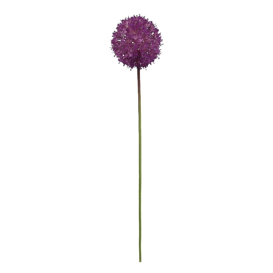 Kunstblumen | Nanu-Nana Barlauch Pompom, Lila, 66 Cm