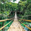 Wanddeko | Nanu-Nana Poster Jungle Bridge, Nr. 117
