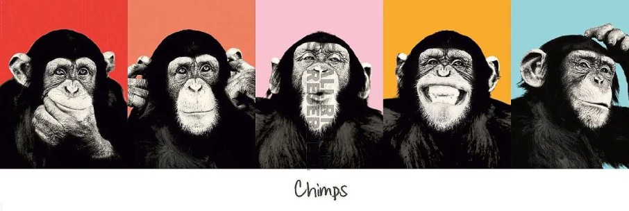 Wanddeko | Nanu-Nana Jumboposter The Chimp - Pop, Nr. 36