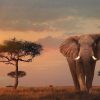 Kinderzimmer | Nanu-Nana Poster African Wildlife Elephant, Nr. 4